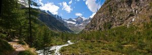 Contatti Appartamenti Cogne